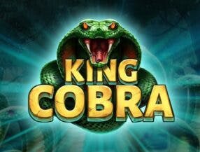 aposta mega sena com 8 numeros